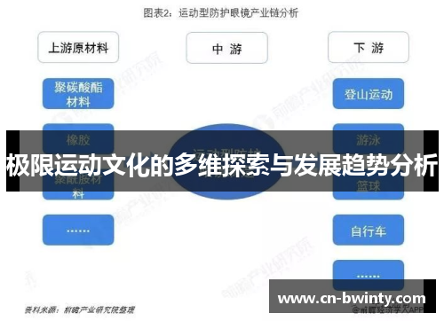 极限运动文化的多维探索与发展趋势分析