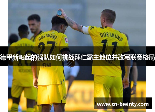 德甲新崛起的强队如何挑战拜仁霸主地位并改写联赛格局