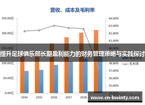 提升足球俱乐部长期盈利能力的财务管理策略与实践探讨