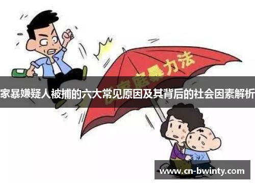 家暴嫌疑人被捕的六大常见原因及其背后的社会因素解析