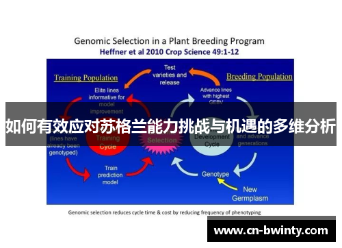 如何有效应对苏格兰能力挑战与机遇的多维分析
