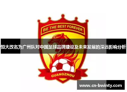 恒大改名为广州队对中国足球品牌建设及未来发展的深远影响分析