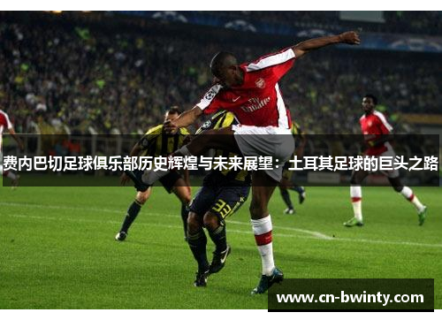 费内巴切足球俱乐部历史辉煌与未来展望:土耳其足球的巨头之路 费内巴切足球俱乐部历史辉煌与未来展望:土耳其足球的巨头之路