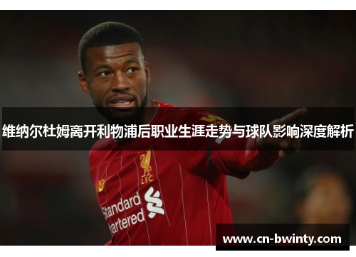 维纳尔杜姆离开利物浦后职业生涯走势与球队影响深度解析